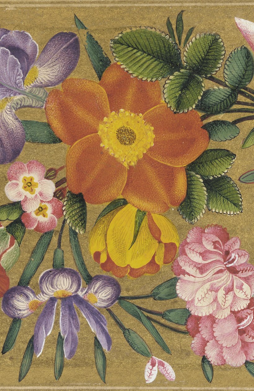 Stránka z alba St. Petersburg, Indie, 1727 (barva na zlatém podkladu) od Muhammad Sadiq
