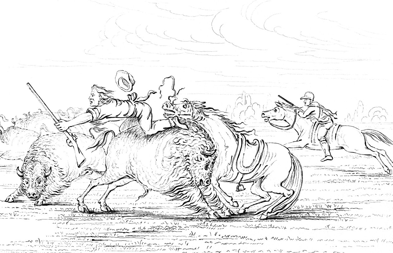 Buffalo útočí na kovboje na koni, 1841. od Myers and Co