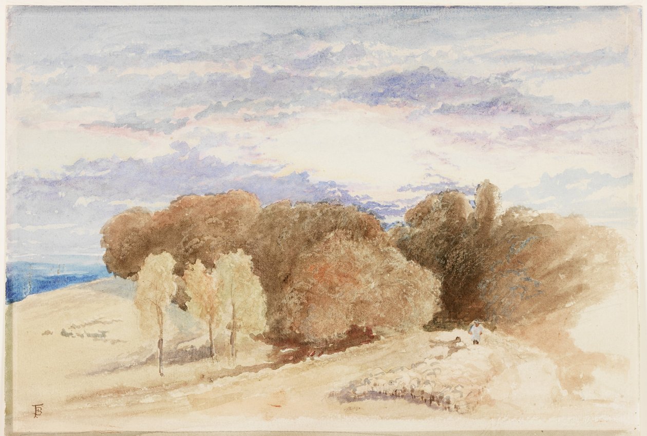 Arundel Park (tužka a akvarel na papíře) od Myles Birket Foster