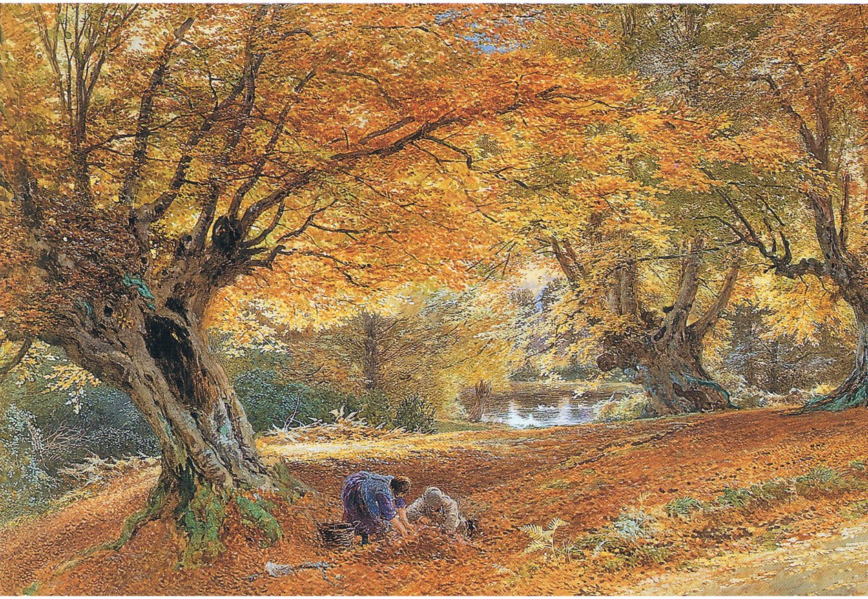 Burnhamské buky od Myles Birket Foster