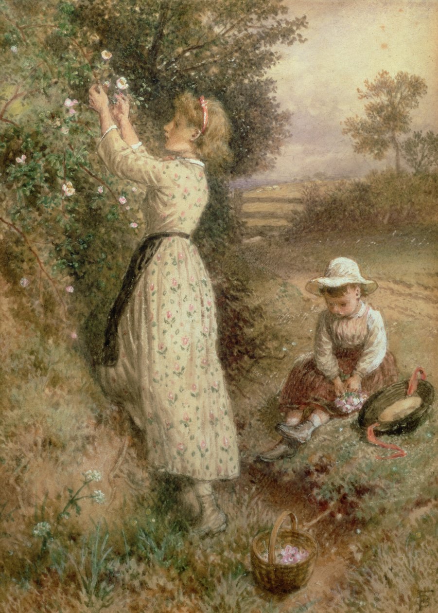 Divoké růže od Myles Birket Foster