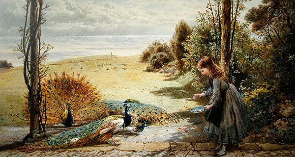 Pávi (akvarel na papíře) od Myles Birket Foster