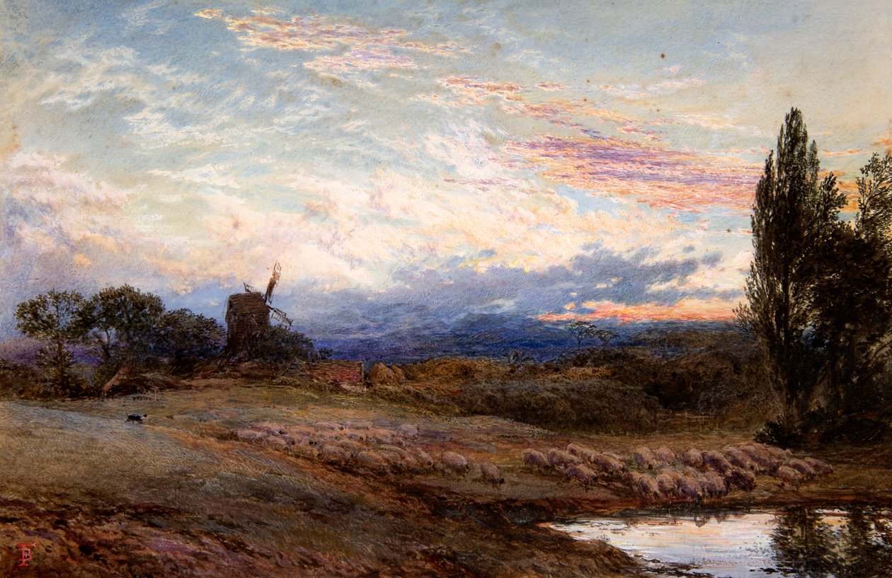 Napájení ovcí při západu slunce (akvarel) od Myles Birket Foster