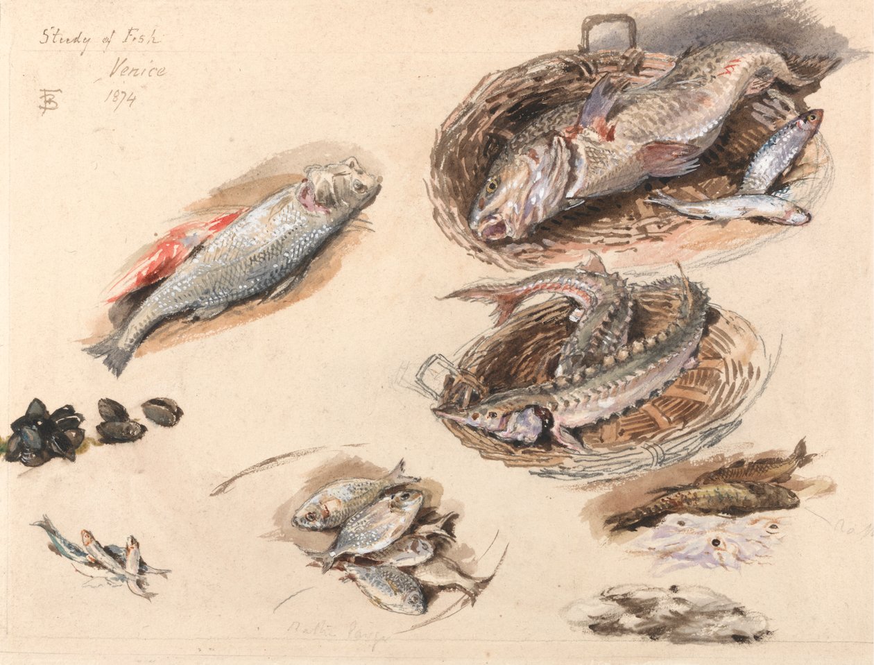 Studium ryb, Benátky od Myles Birket Foster