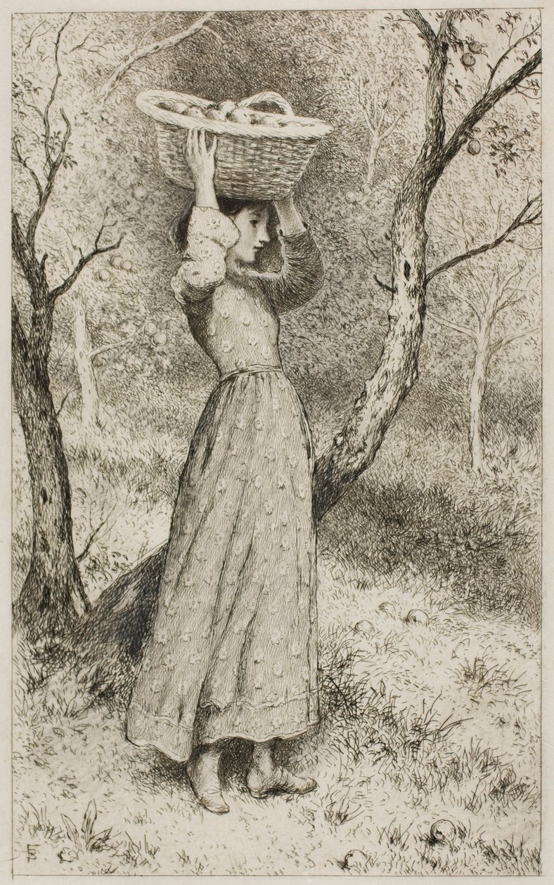 Mladá dívka v sadu s košíkem ovoce od Myles Birket Foster