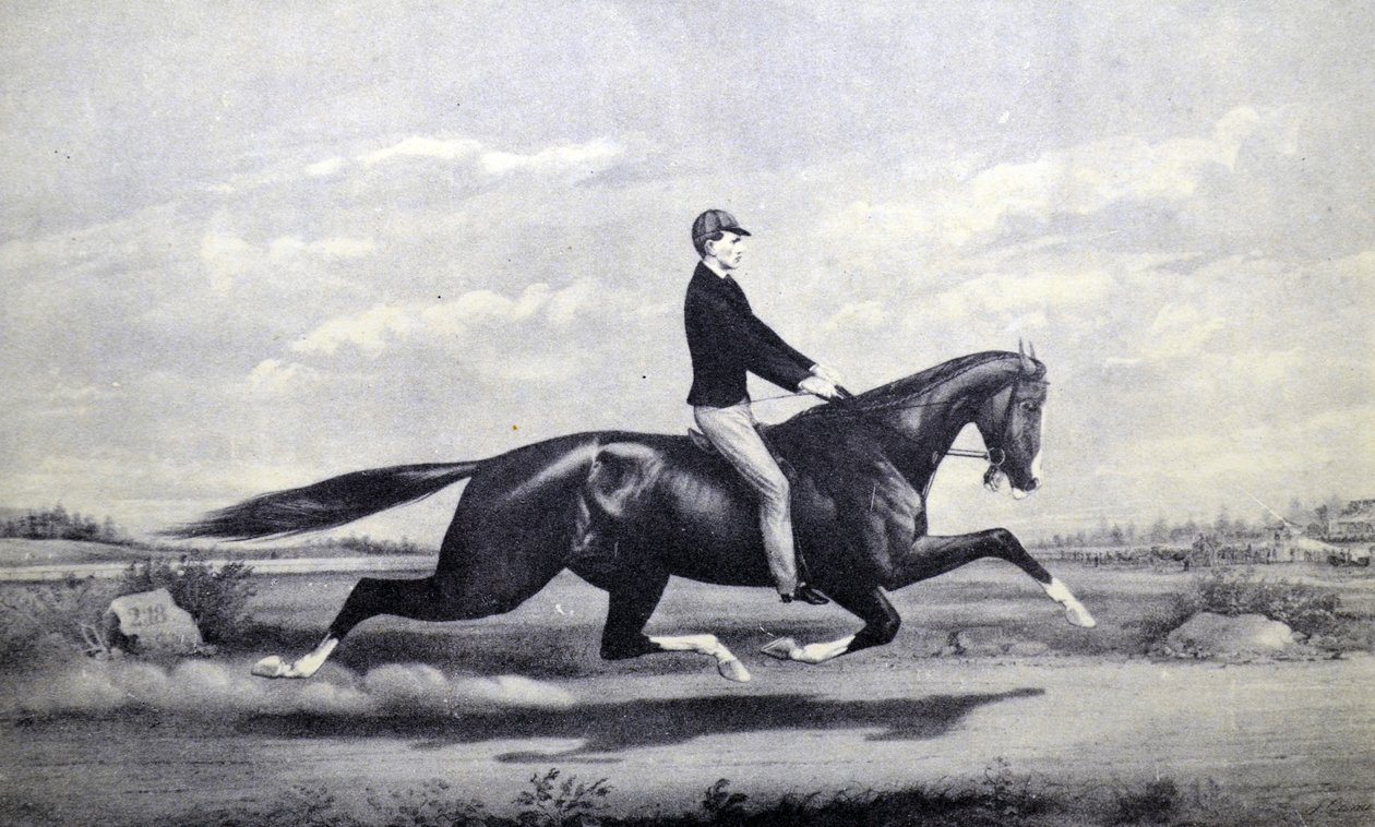 Currier & Ives ilustrace 19. století. Slavný kůň Dexter Král turfu od N. and Ives, J.M. Currier