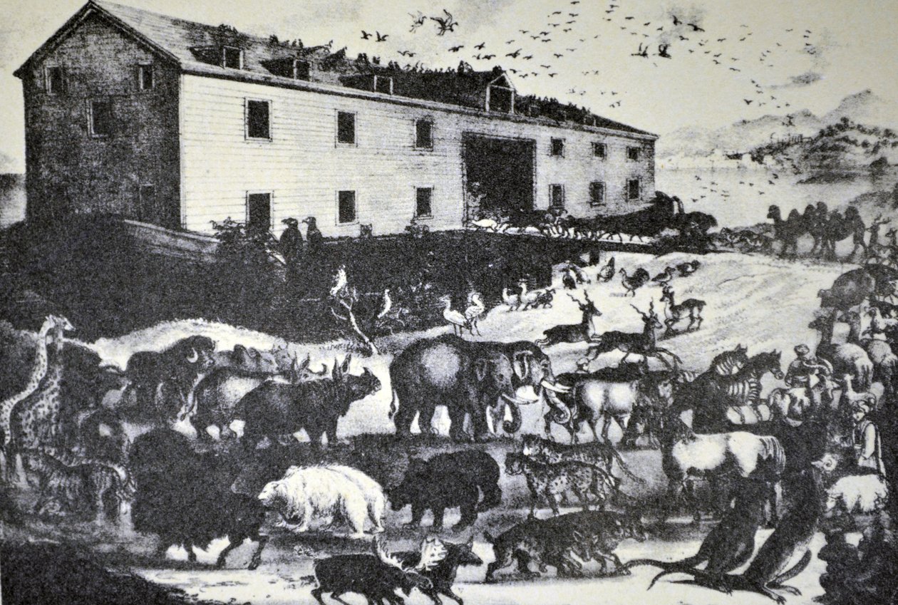 Currier & Ives ilustrace 19. století. Noemova archa od N. and Ives, J.M. Currier