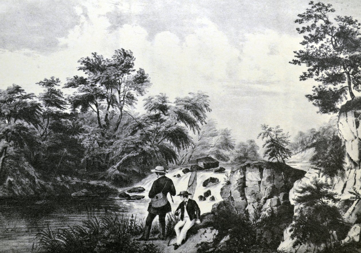 Currier & Ives ilustrace 19. století. Pstruhový potok od N. and Ives, J.M. Currier