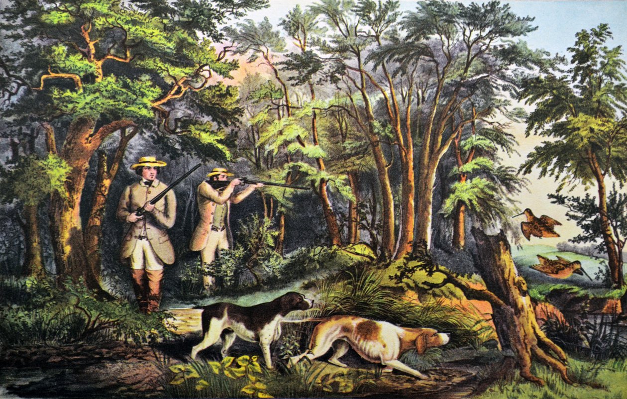 Woodcock Střelba od N. and Ives, J.M. Currier