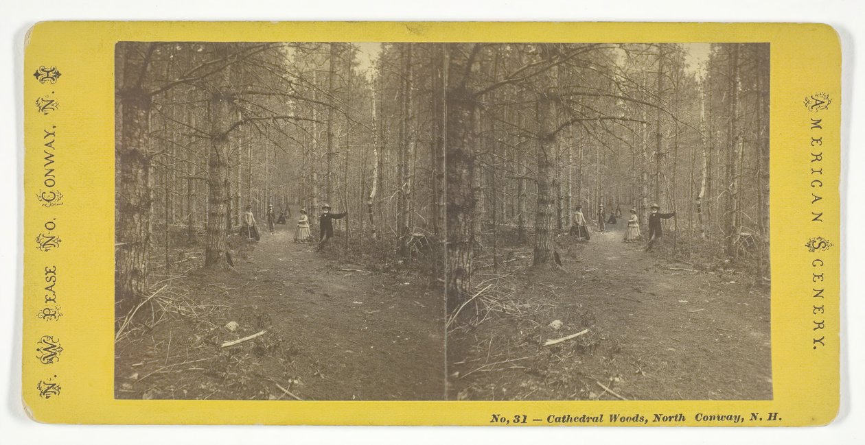 Cathedral Woods, North Conway, NH, polovina 19. století. od N.W. Pease