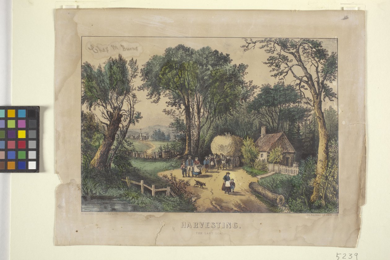 Sklizeň. Poslední náklad (ručně kolorovaná litografie) od N. and Ives J.M. (1824 95) Currier