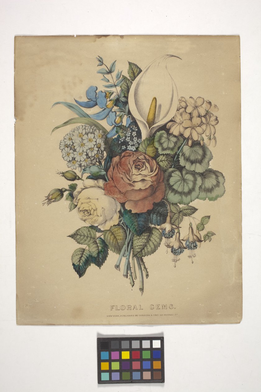 Floral Gems (ručně kolorovaná litografie) od N. and Ives J.M. (1824 95) Currier