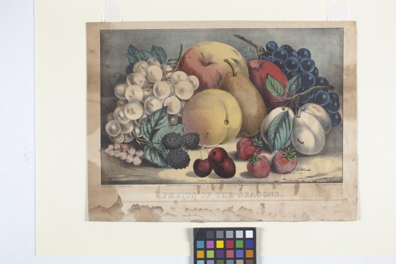 Fruits Of The Season (ručně kolorovaná litografie) od N. and Ives J.M. (1824 95) Currier