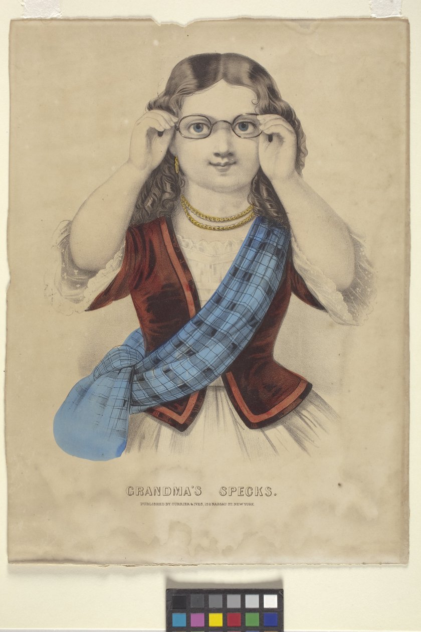 Babiččina "specifikace" (ručně kolorovaná litografie) od N. and Ives J.M. (1824 95) Currier