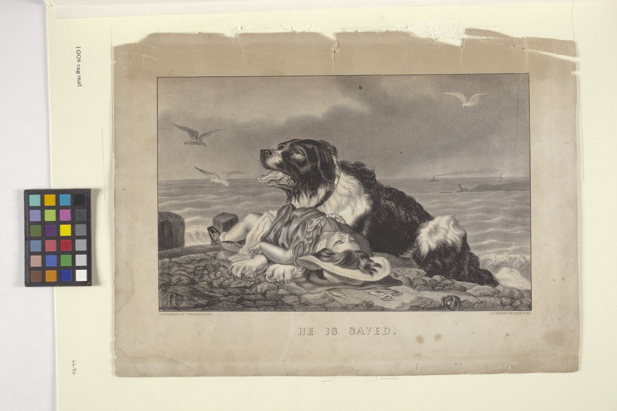 Je zachráněn (ručně kolorovaná litografie) od N. and Ives J.M. (1824 95) Currier