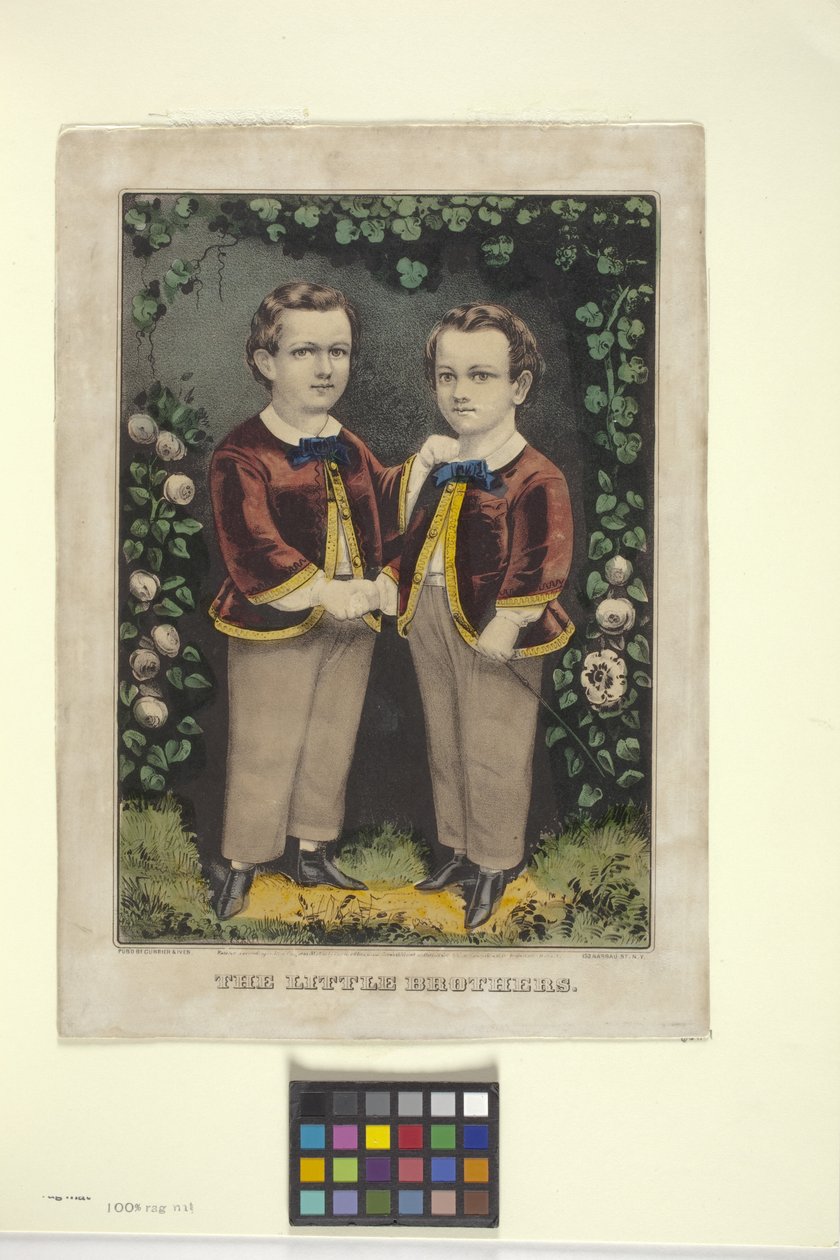 Little Brothers (ručně kolorovaná litografie) od N. and Ives J.M. (1824 95) Currier