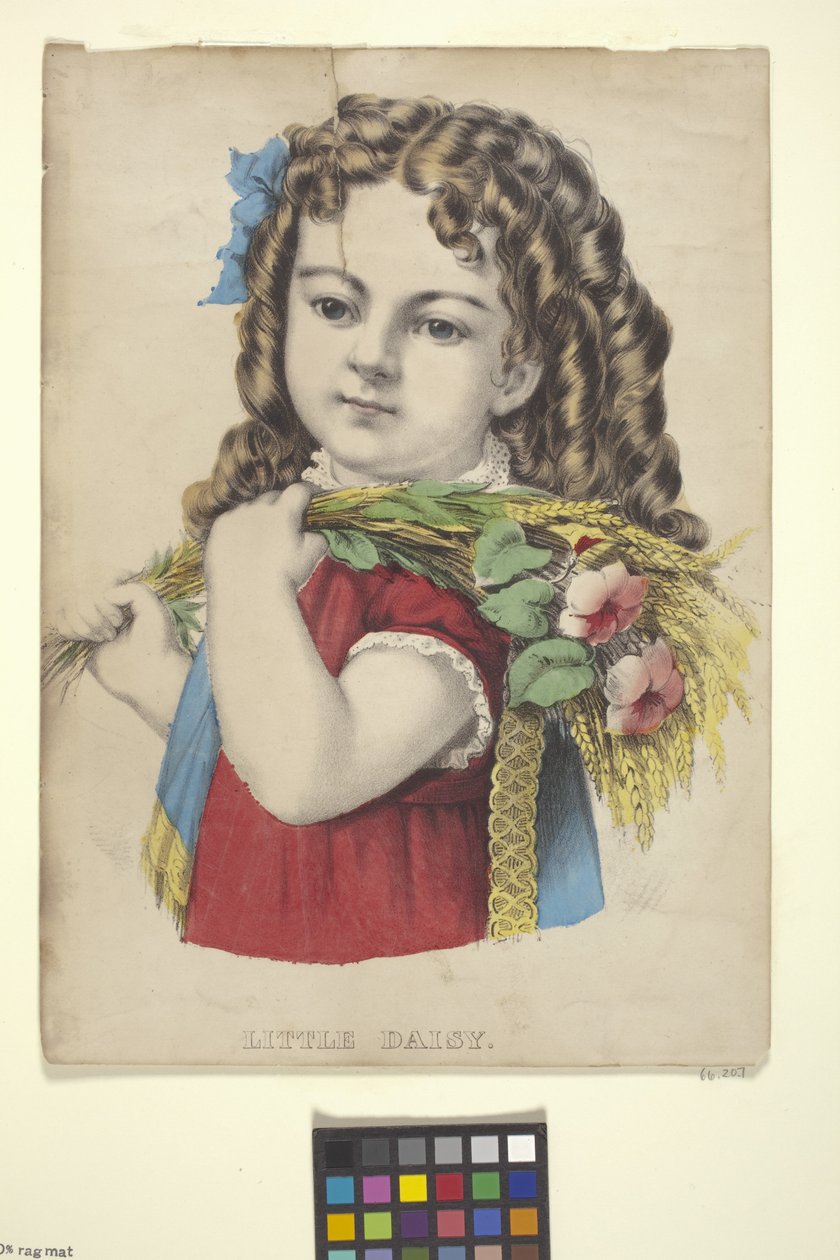 Little Daisy (ručně kolorovaná litografie) od N. and Ives J.M. (1824 95) Currier