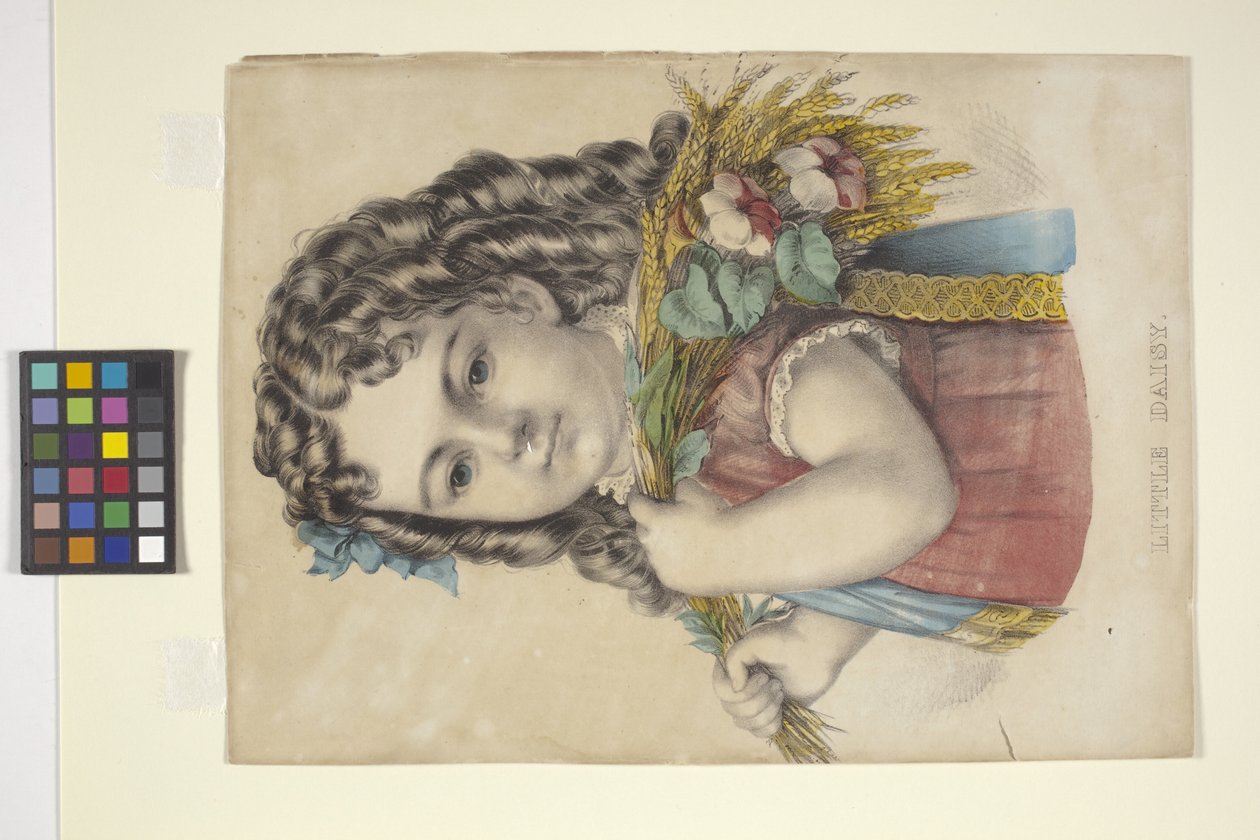 Little Daisy (ručně kolorovaná litografie) od N. and Ives J.M. (1824 95) Currier