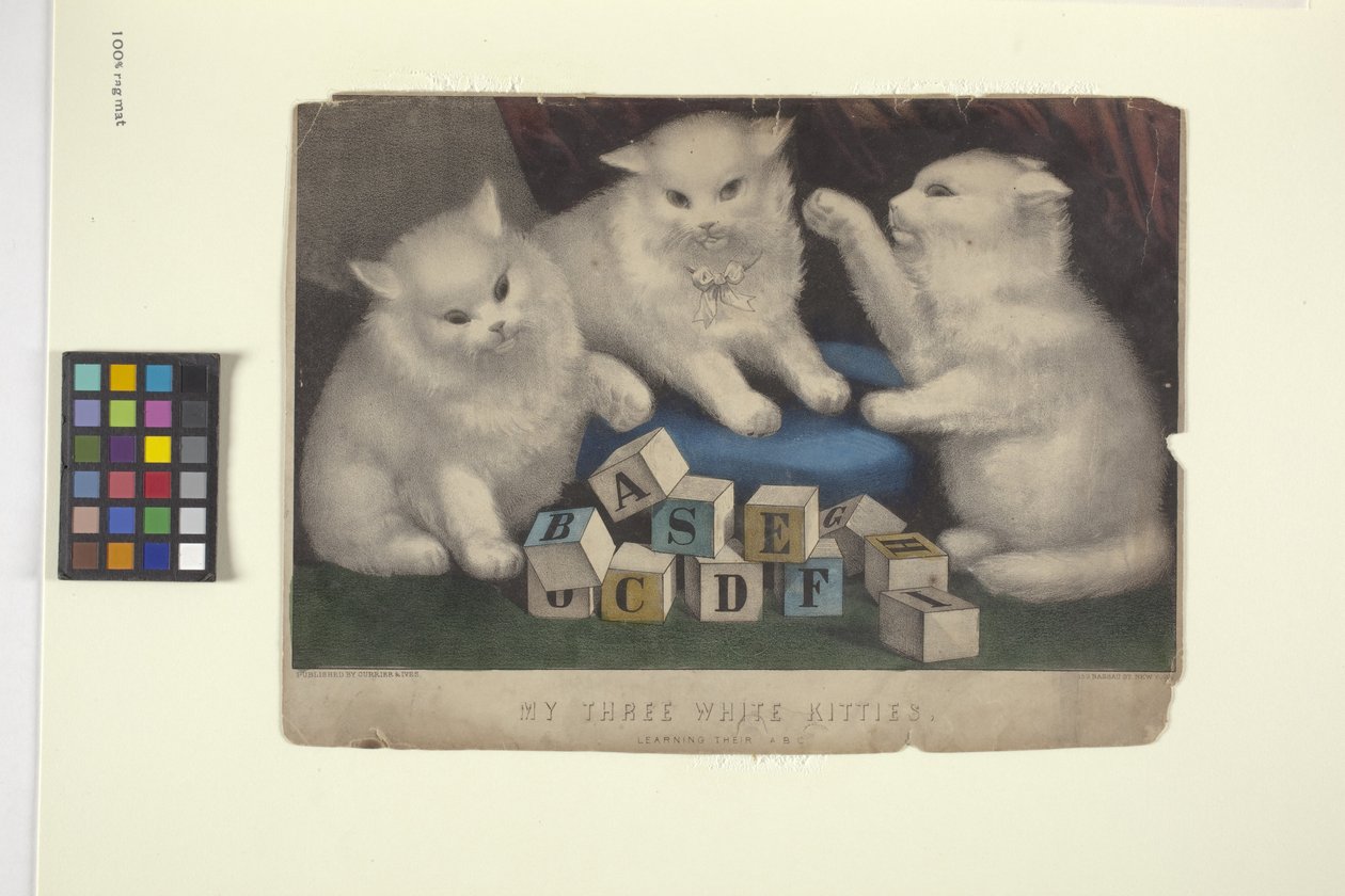 Moje tři bílá koťátka (ručně kolorovaná litografie) od N. and Ives J.M. (1824 95) Currier