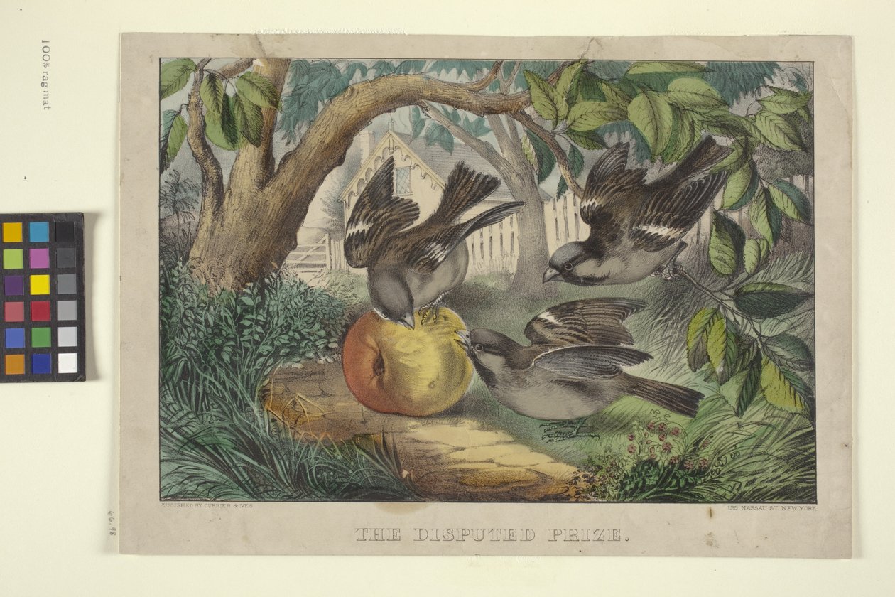The Disputed Prize (ručně kolorovaná litografie) od N. and Ives J.M. (1824 95) Currier