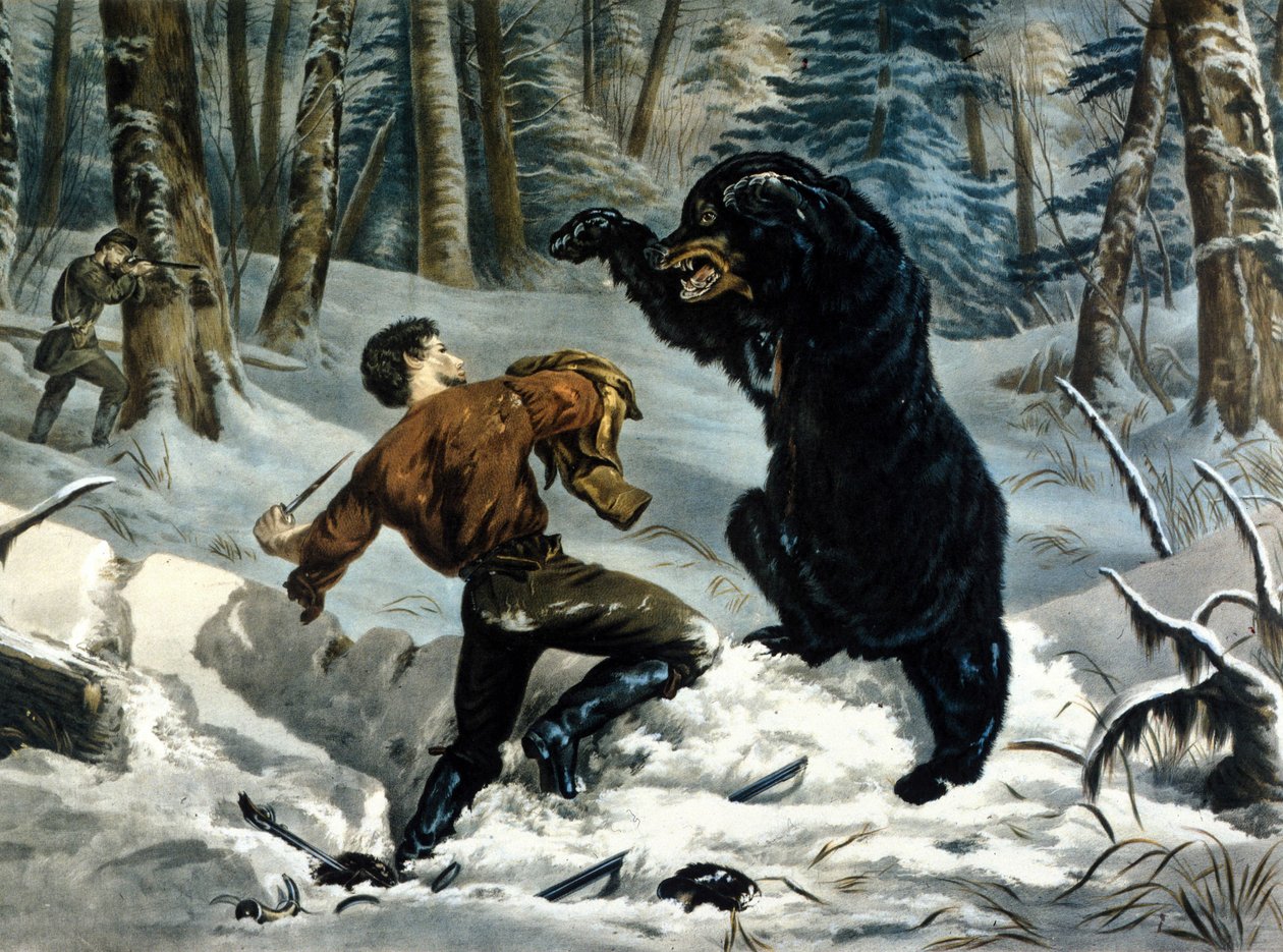 The Life of Trappers (Professional Hunters) v Kanadě: Lovec je napaden medvědem grizzlym. Ilustrace Yves a Currier. od Currier and Ives
