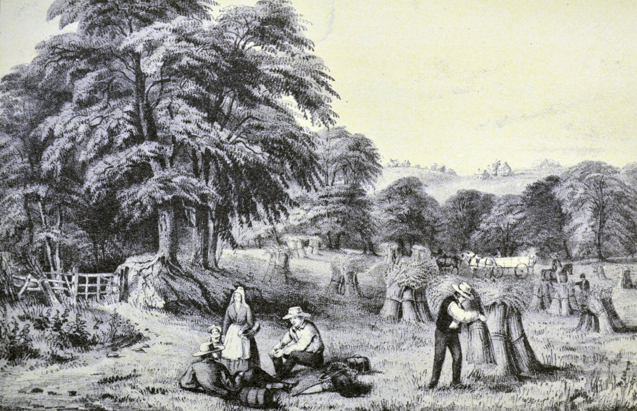 Currier & Ives ilustrace 19. století. Sklizeň od N. and Ives, J.M. Currier