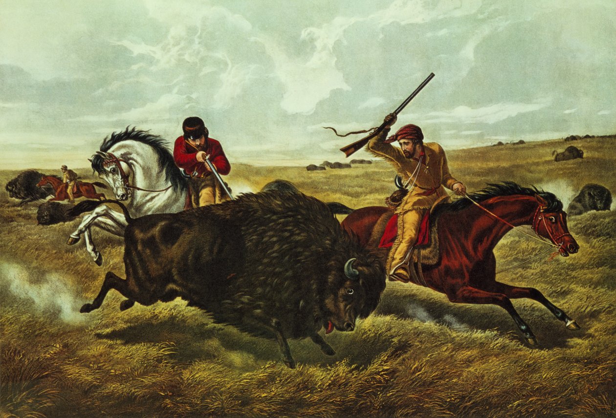 Life on the Prairie - The Buffalo Hunt, 1862 (barevné lito) od N. and Ives, J.M. Currier