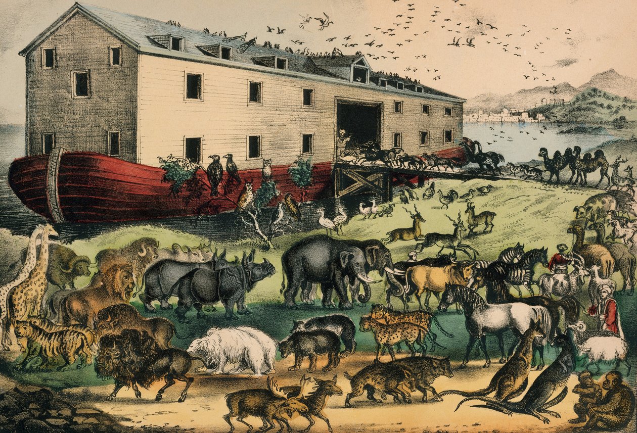 Noemova archa, 1874-78 (ručně kolorovaná litografie) od N. and Ives, J.M. Currier