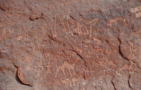 Petroglyfy ze strany útesu (skalní malba) od Nabatean