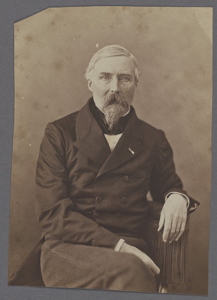 Noeho, bratra Chamova od Nadar [Gaspard Félix Tournachon]