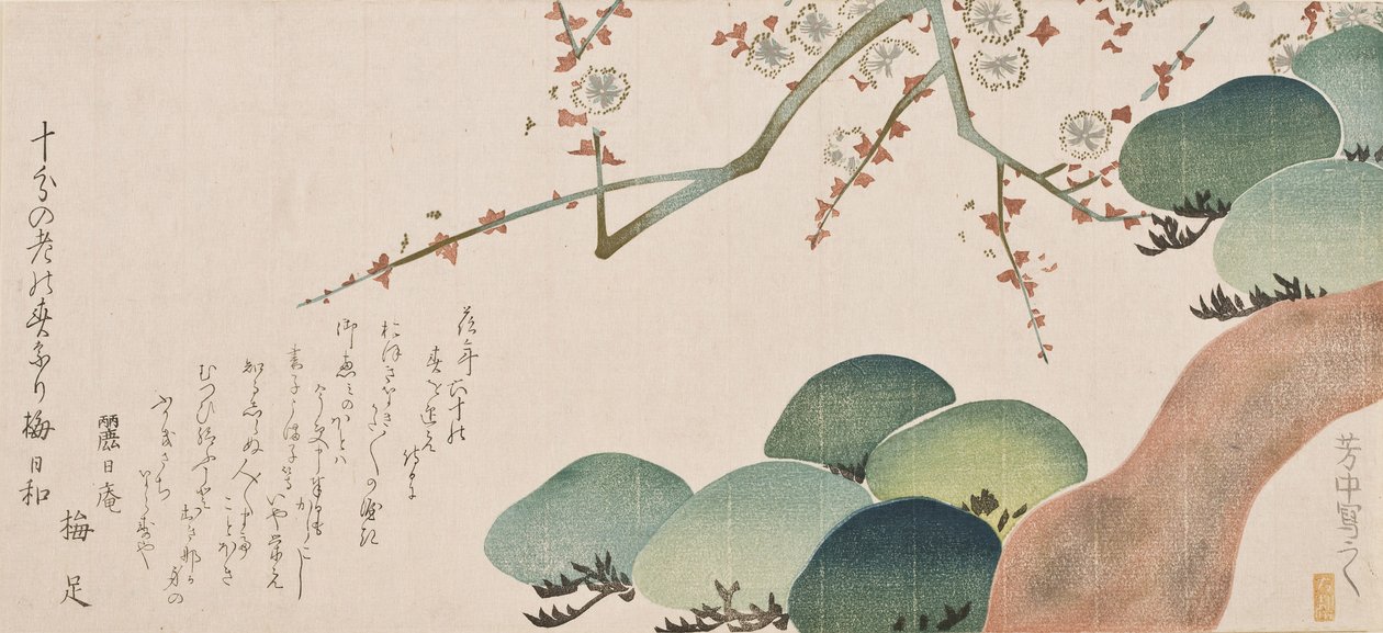Pine Tree and Plum Blossom, 1810-30 (barevný dřevotisk) od Nakamura Hochu