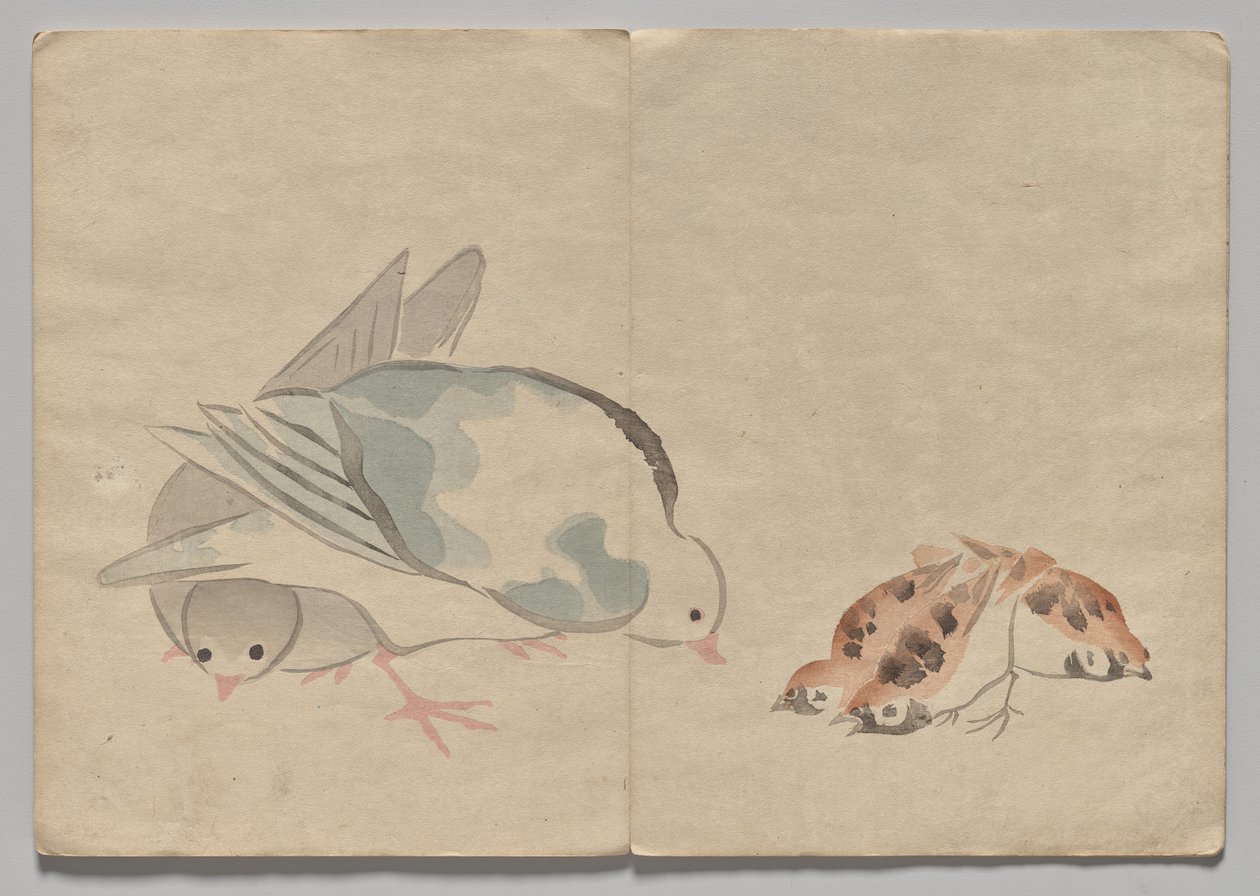 Scéna z The Kōrin Picture Book (svazek 1) od Nakamura Hochu