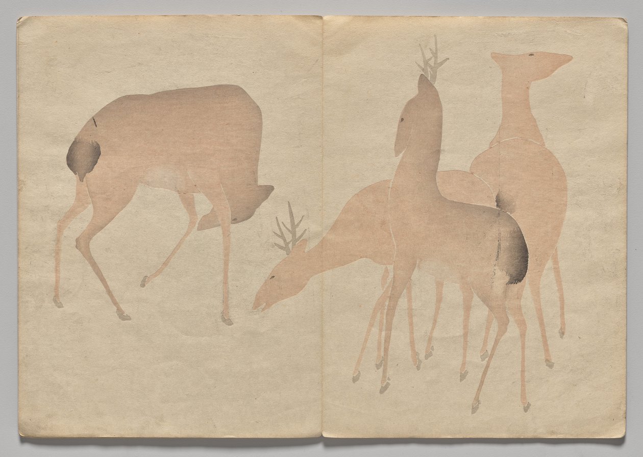 Scéna z The Kōrin Picture Book (svazek 1) od Nakamura Hochu
