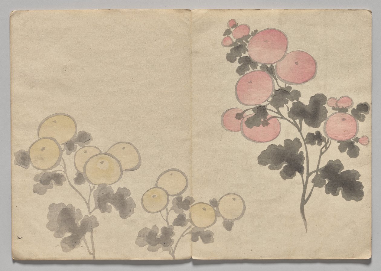 Scéna z The Kōrin Picture Book (svazek 1) od Nakamura Hochu