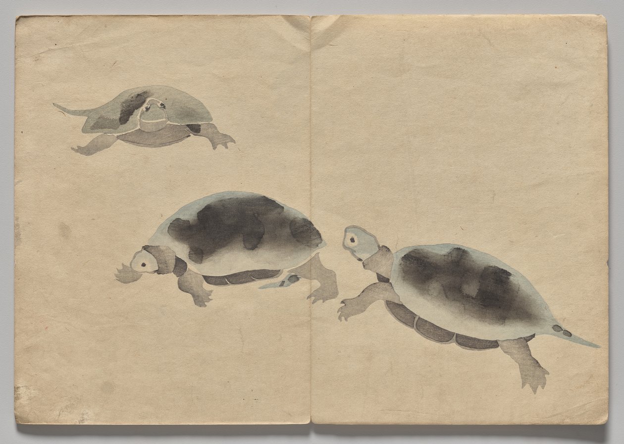 Scéna z The Kōrin Picture Book (svazek 2) od Nakamura Hochu