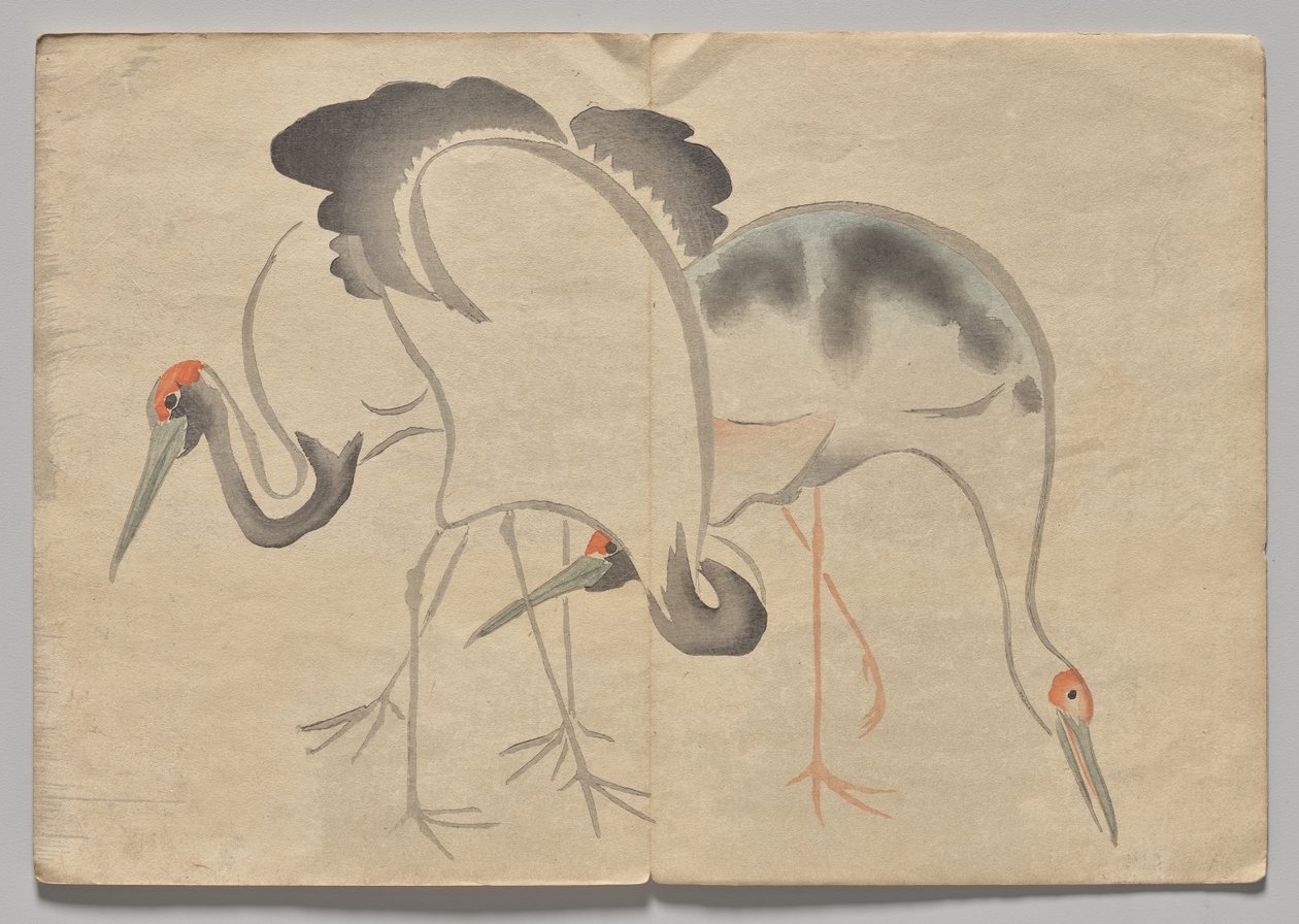 Scéna z Kōrin Picture Book (svazek 2) od Nakamura Hochu