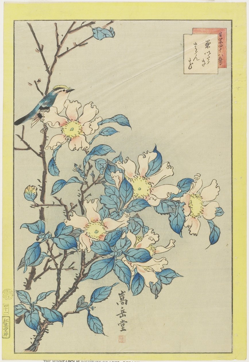 Modrý pták a růžové květy, 1859 (barevný dřevořez) od Nakayama Sugakudo