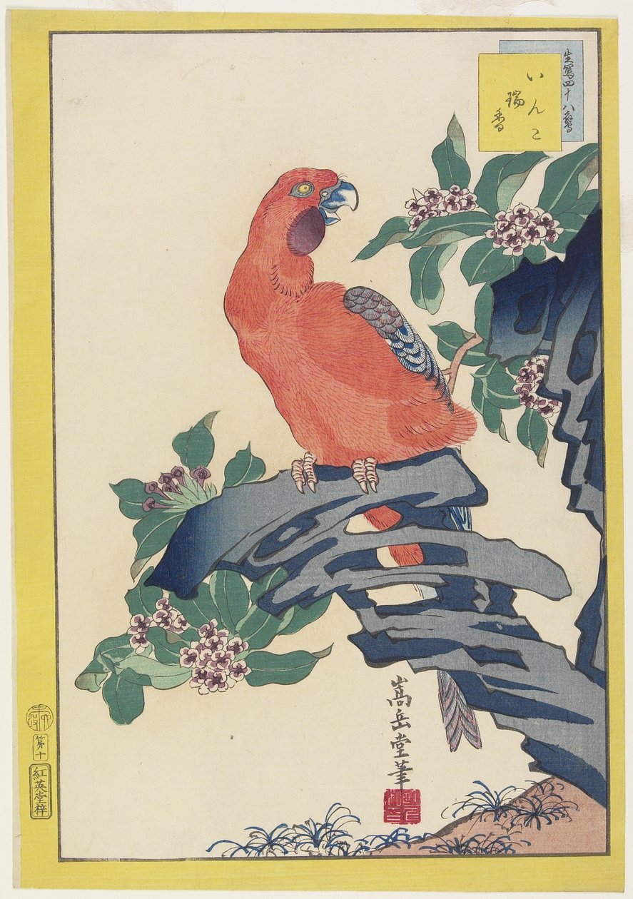 Pink Parrot on Rock, 1859 (barevný dřevořez) od Nakayama Sugakudo