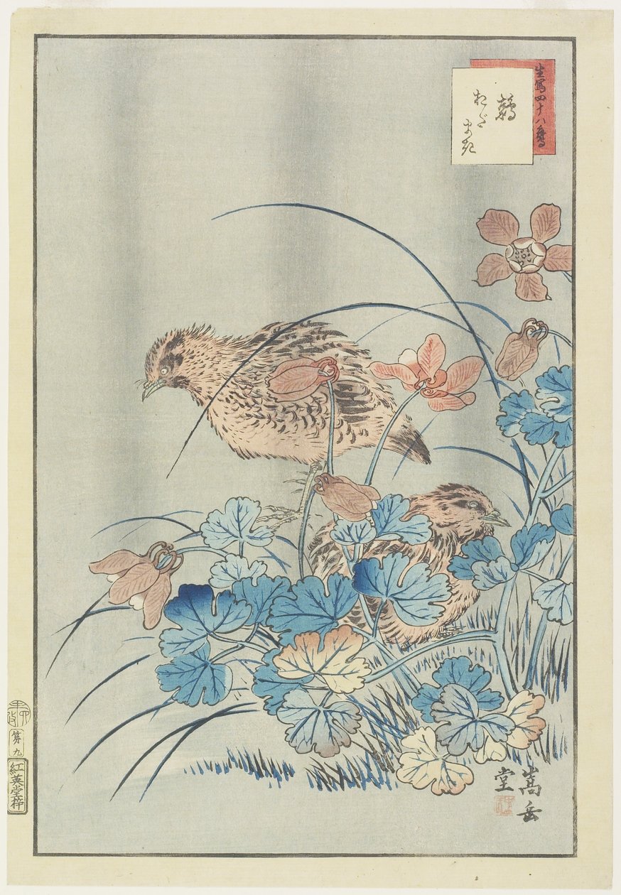 Two Quails in Bush, 1859 (barevný dřevořez) od Nakayama Sugakudo