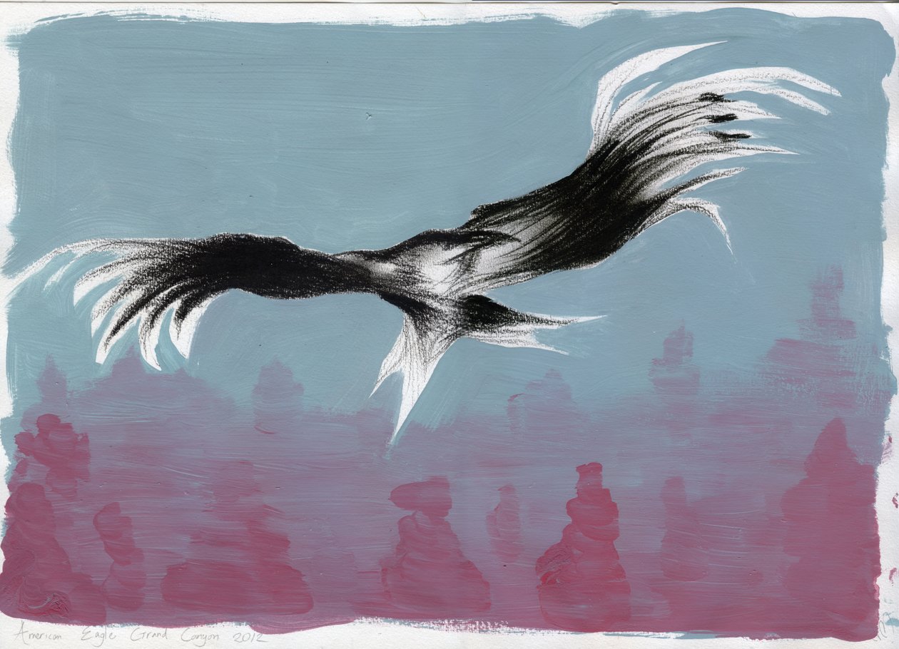 Canyon Eagle, 2014, (kvaš a dřevěné uhlí na papíře) od Nancy Moniz Charalambous