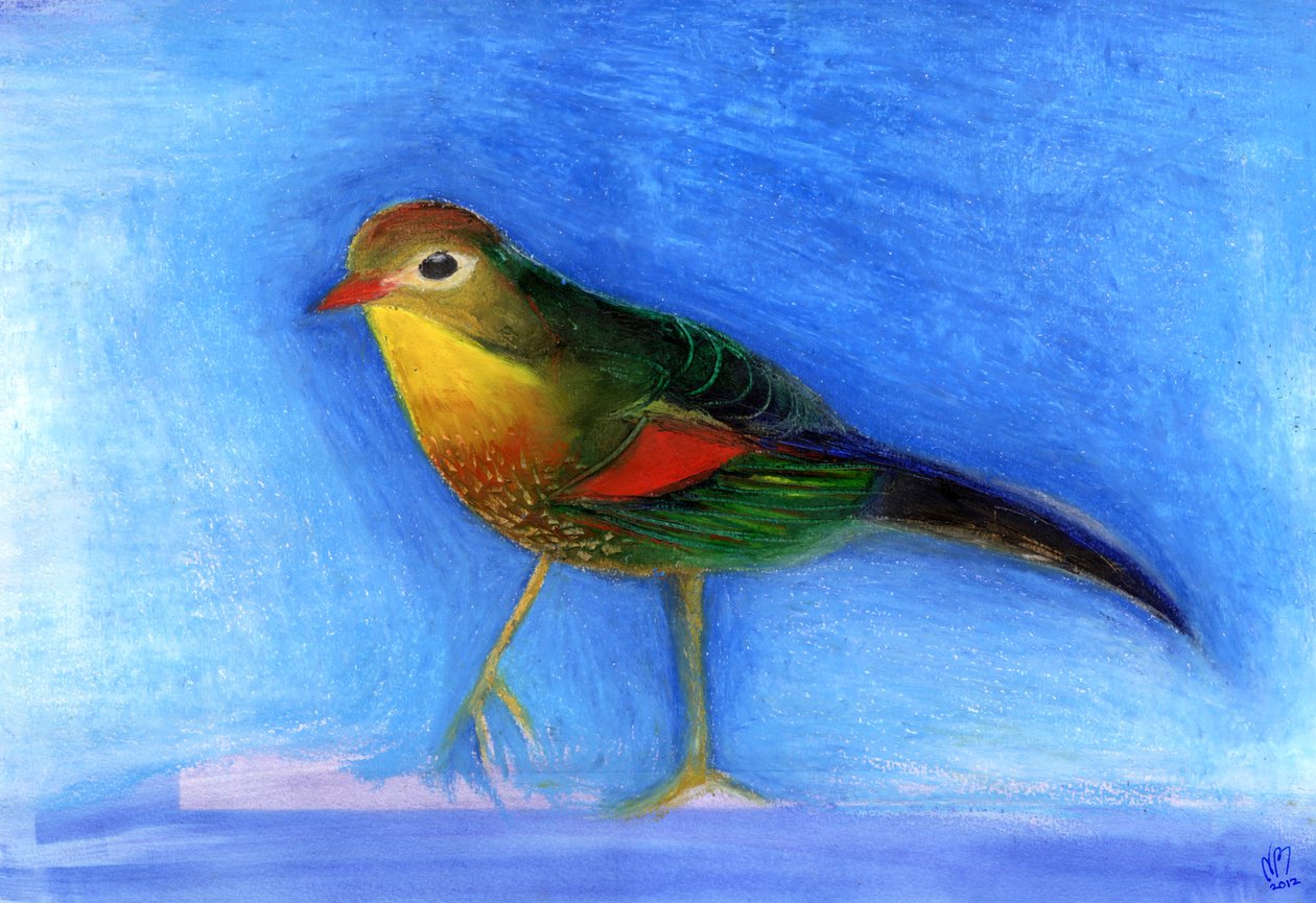 Nightingale Light, 2012, (olejový pastel na papíře) od Nancy Moniz Charalambous