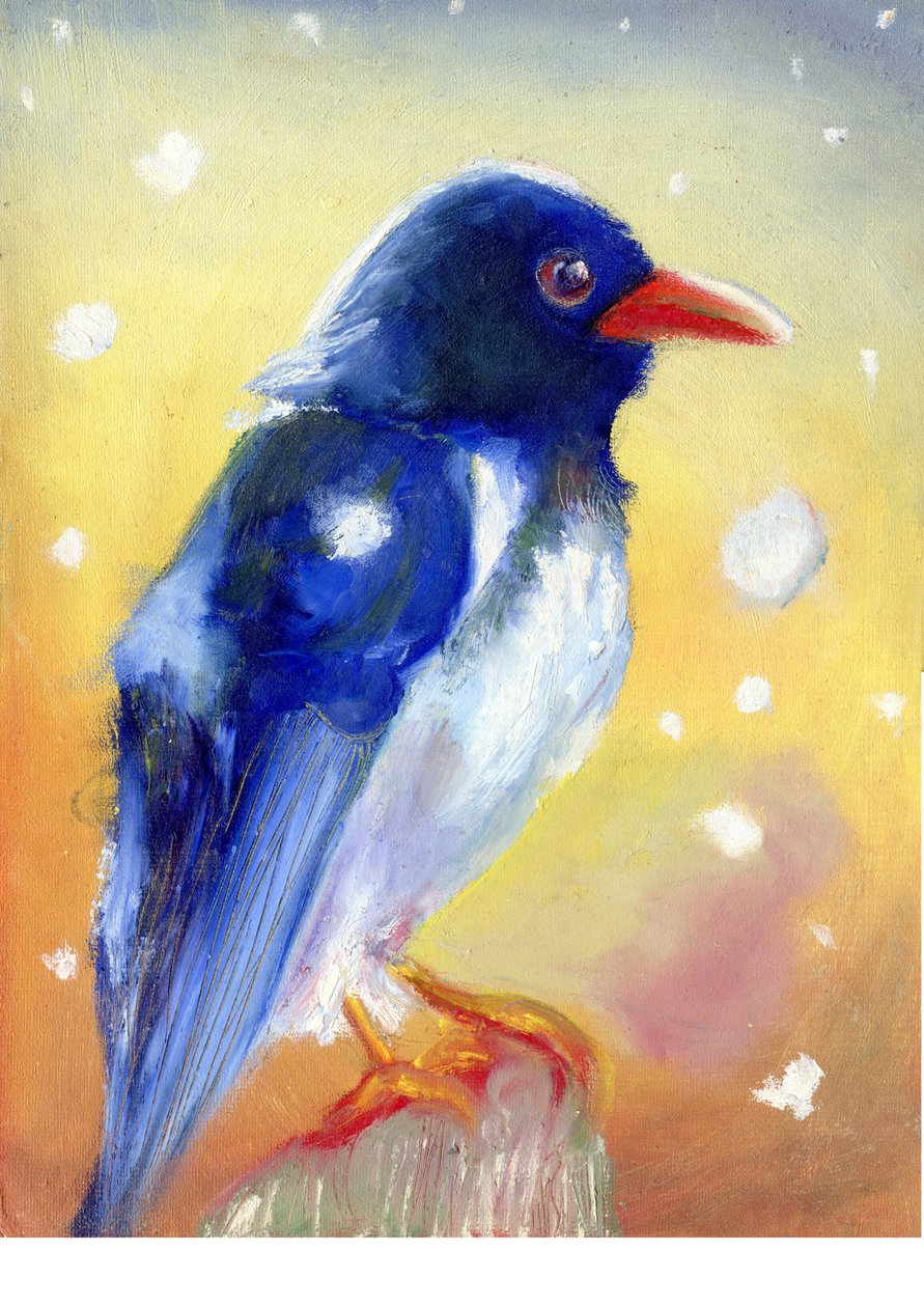 Red Billed Straka s kapkami sněhu, 2012, od Nancy Moniz Charalambous