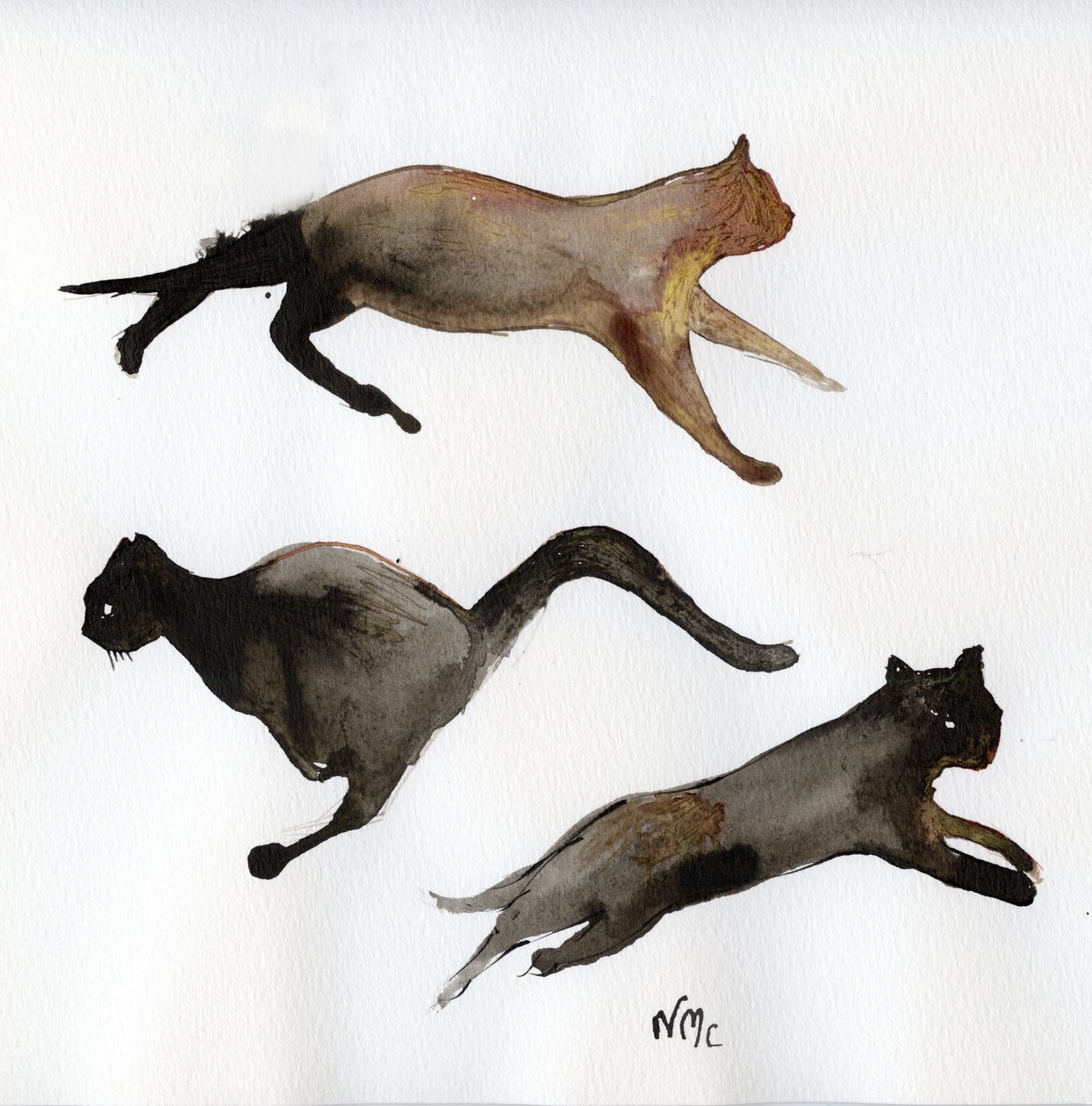 Run Cat Run, 2017, (inkoust na papíře) od Nancy Moniz Charalambous