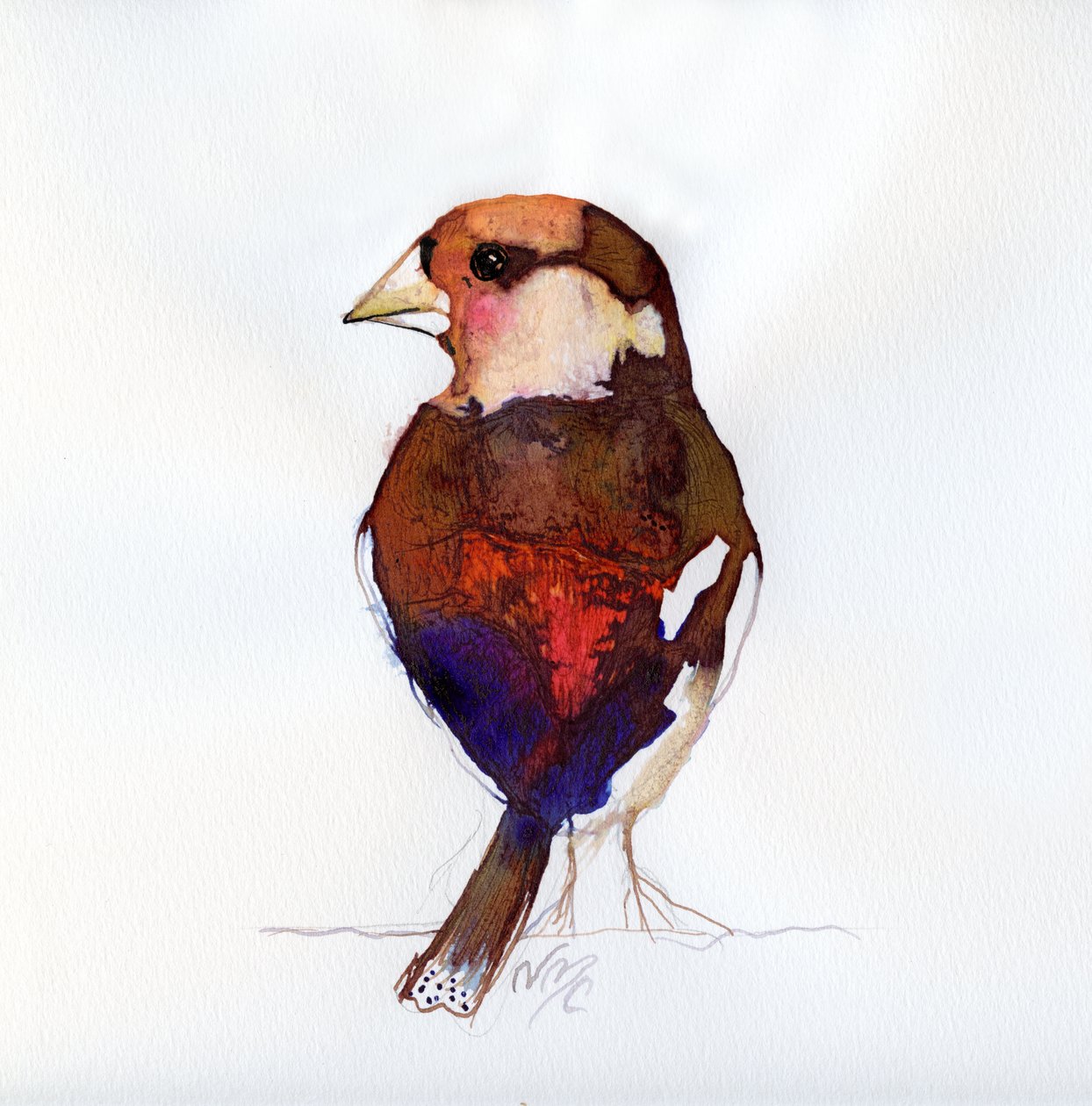 Blushing Hawfinch, 2017 od Nancy Moniz Charalambous