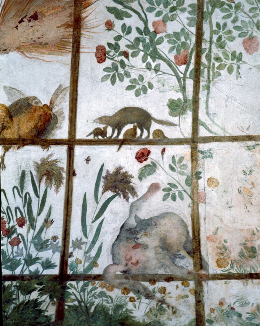 Předsíň Studia Studiolo Francesca deMedici 1541-87 detail výzdoby zobrazující zvířata v zahradní pergole, freska 1564-75 od Bartolomeo Ammannati