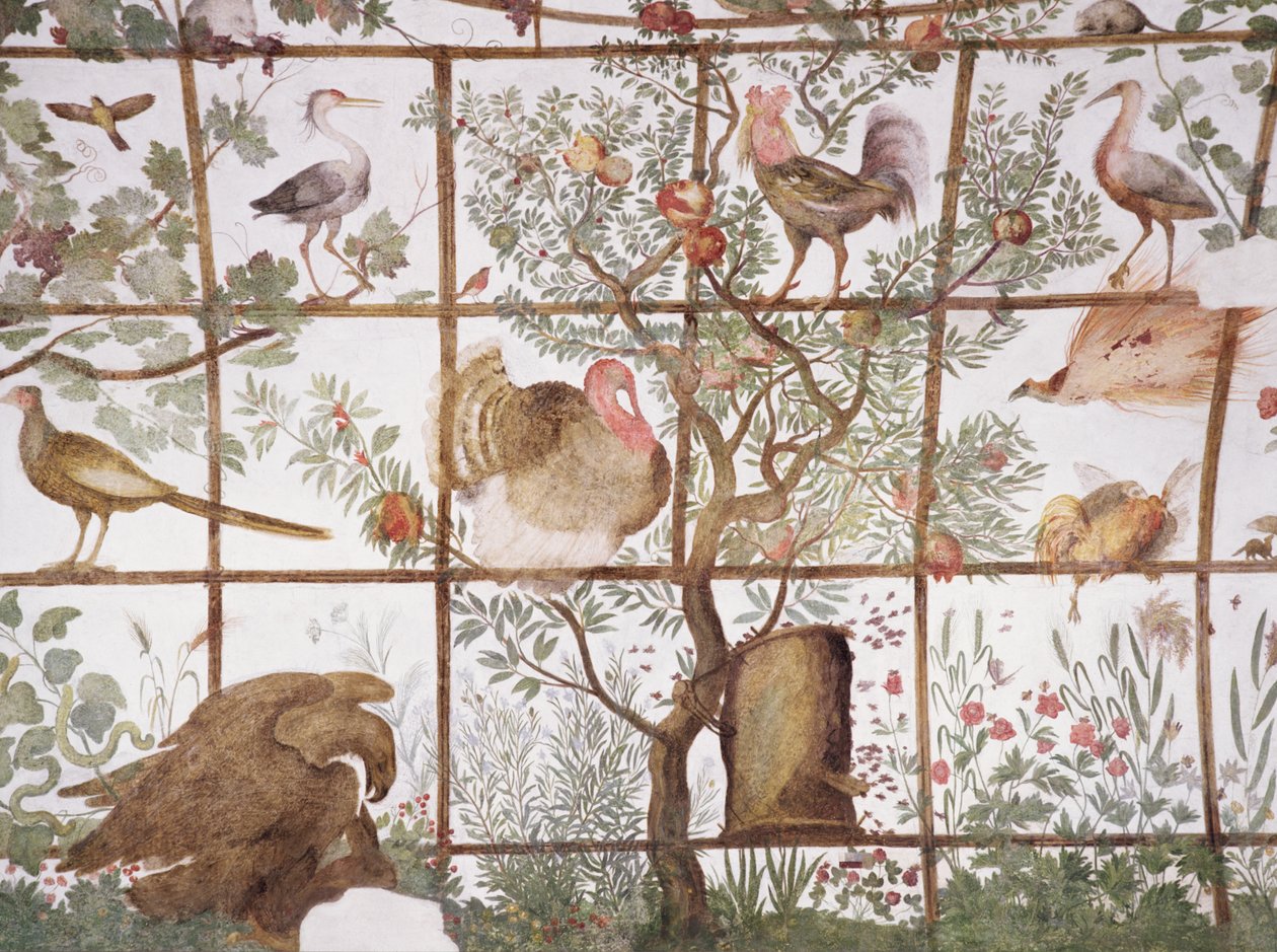 Předsíň Study Studiolo Francesca deMedici 1541-87 detail dekorace znázorňující ptáky v zahradní pergole, freska 1564-75 od Bartolomeo Ammannati