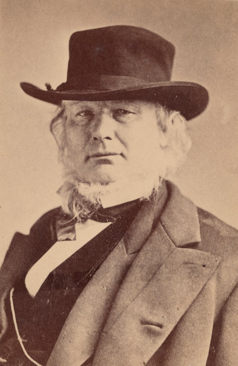 Portrét Horace Greeley 1811-1872, 1869. od Napoleon Sarony
