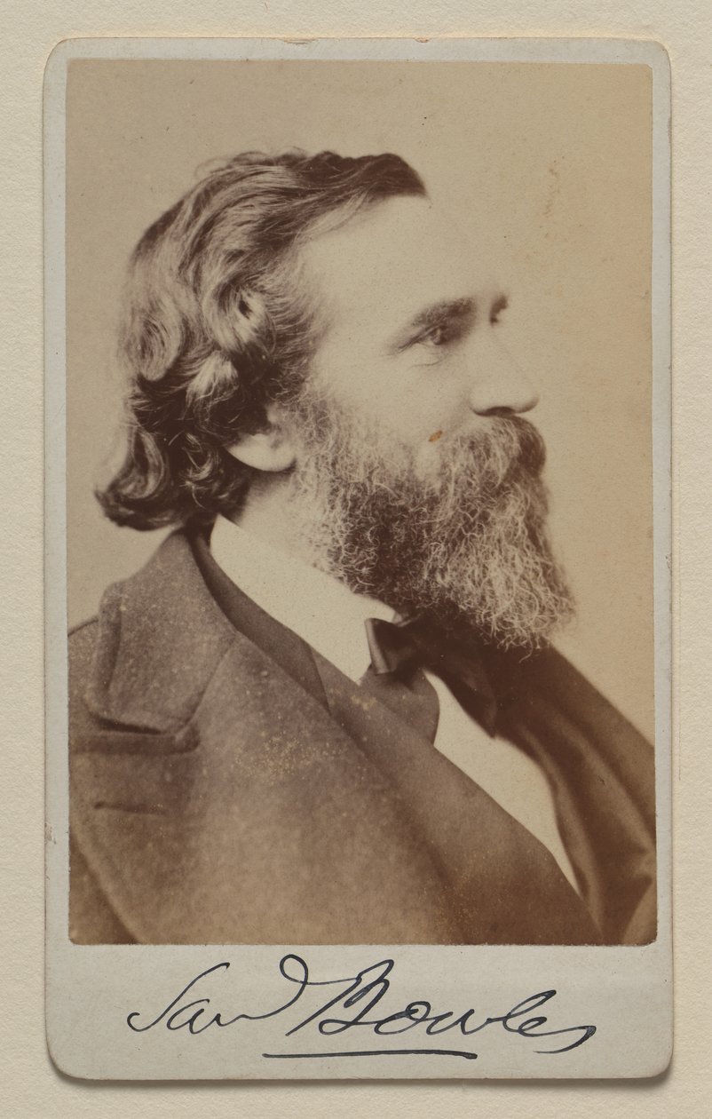 Samuel Bowles II od Napoleon Sarony