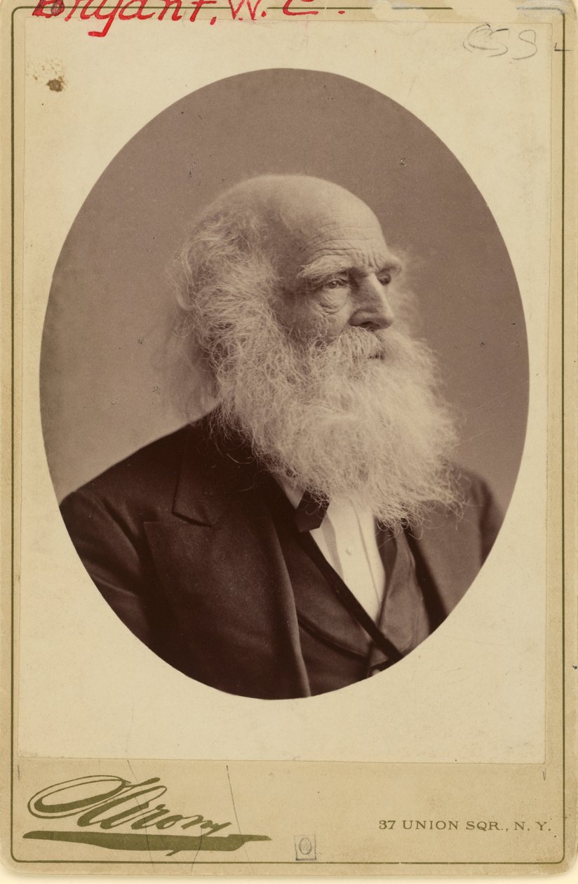 William Cullen Bryant od Napoleon Sarony