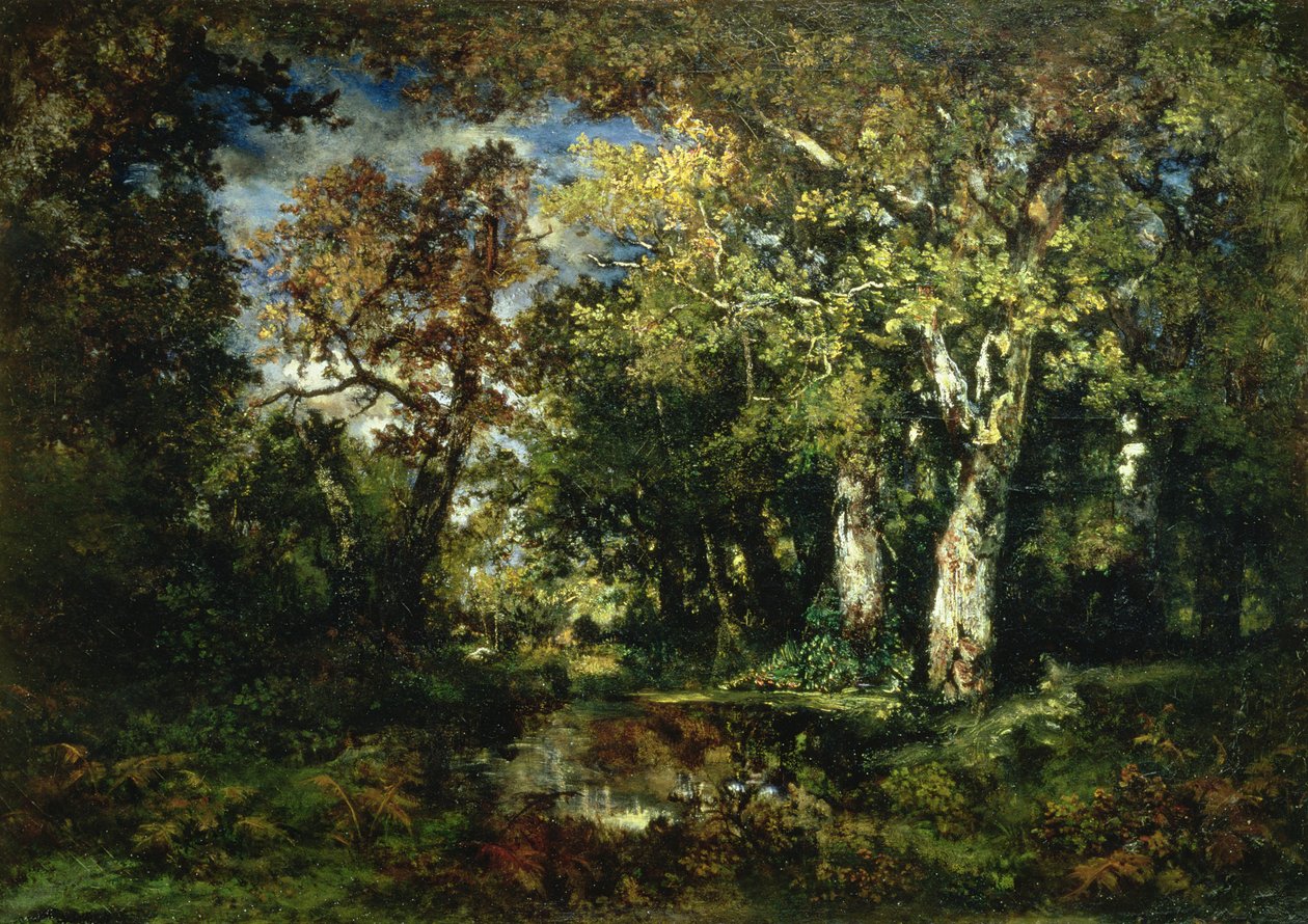 Les ve Fontainebleau od Narcisse Virgile Diaz de la Peña